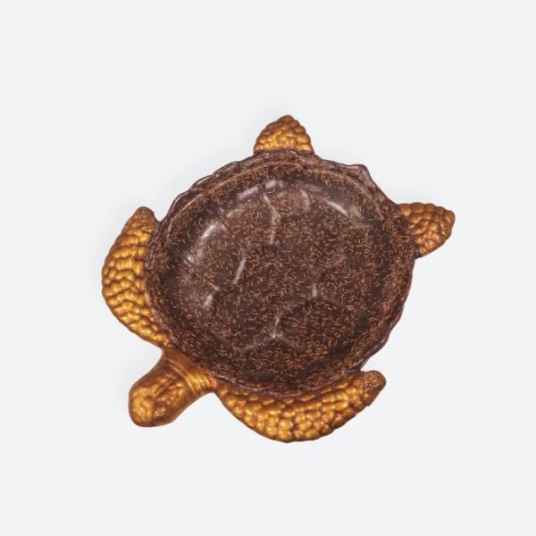 Brown Turtle Tray